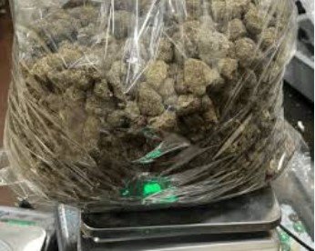 Drug Bust at Amritsar Airport: Passenger Held with Concealed Cannabis Worth ₹96 Lakh