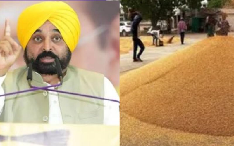 Punjab Govt Plans to Replace Striking Commission Agents with Cooperative Societies to Ensure Smooth Wheat Procurement