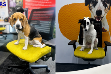 Pets Are Shaping Workplace Culture at Mars Pet Nutrition India