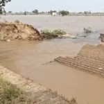 फरीदकोट में बाढ़ प्रभावित खेतों का AAP विधायक ने किया निरीक्षण, किसानों को राहत देने के निर्देश