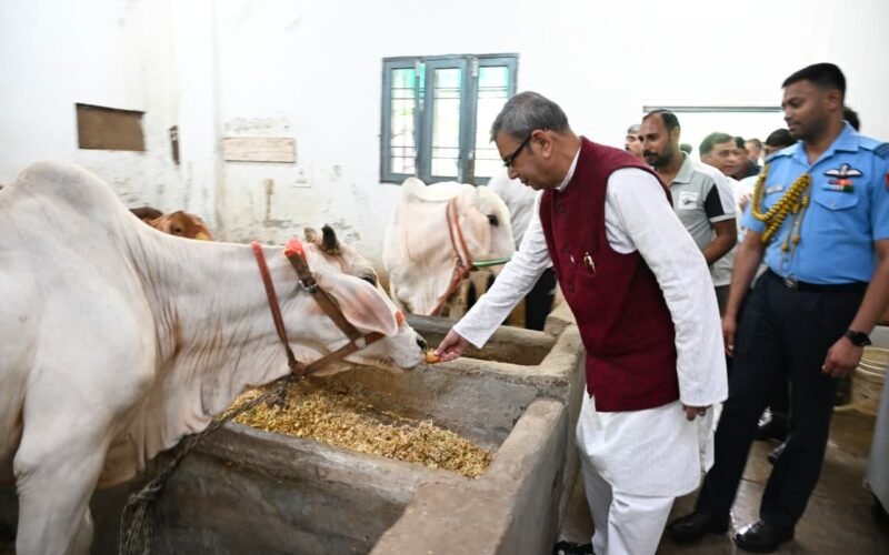राज्यपाल ने गौशाला के नवीनीकरण कार्य का किया शुभारंभ, विकास कार्यों को मिली नई गति