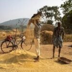 कृषि विपणन व्यवस्था को मजबूत करने की दिशा में सरकार की नई पहल