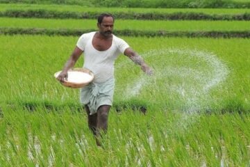 उर्वरक गुणवत्ता परीक्षण में अनियमितताएं, किसानों के हित में उठाए जाएंगे कदम