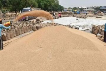हरियाणा: कृषि विपणन बोर्ड की 10 सेवाओं पर अब मिलेगा राइट टू सर्विस का लाभ