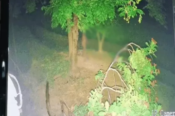 फगवाड़ा के नारोड़ गांव में CCTV में दिखी संदिग्ध महिला, रात में घूमने से लोगों में दहशत