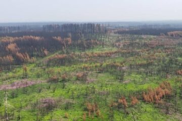 राष्ट्रीय वन सप्ताह पर अल्बर्टा ने वनों, रोज़गार और वनाग्नि रोकथाम पर दिया ज़ोर