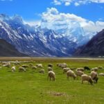 लद्दाख की 28 भौगोलिक विशेषताओं को भारत ने दिया आधिकारिक नाम, अक्साई चिन के स्थल भी शामिल