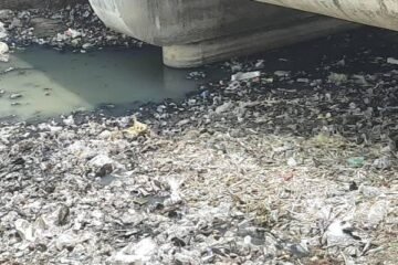 सिरसा नदी का प्रदूषण बरकरार, कोलीफॉर्म स्तर नहाने की तय सीमा से 260 गुना अधिक